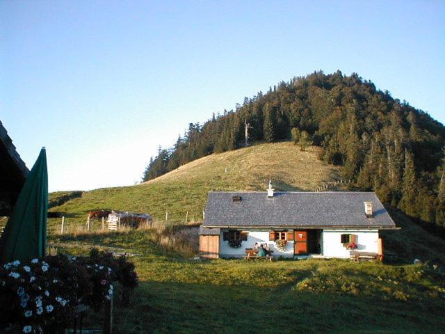 Alpenblick 3*